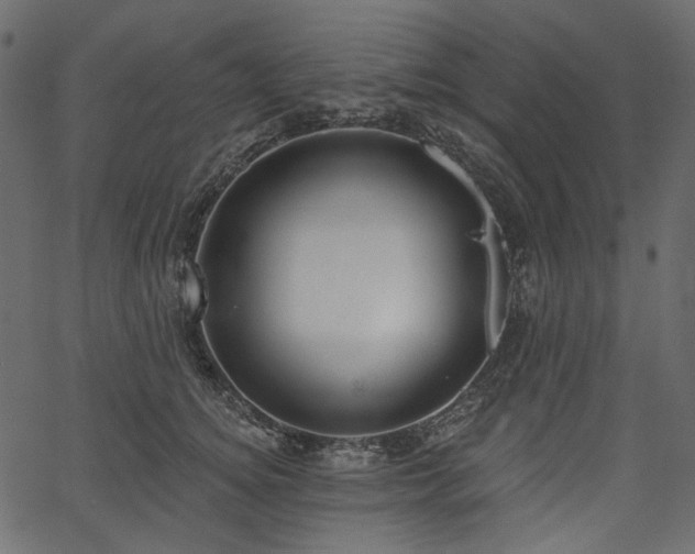 X0000067390756200603311259