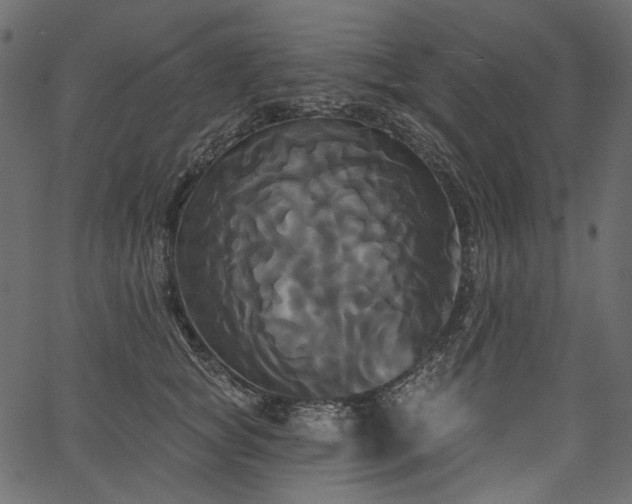 X0000067390757200603311259