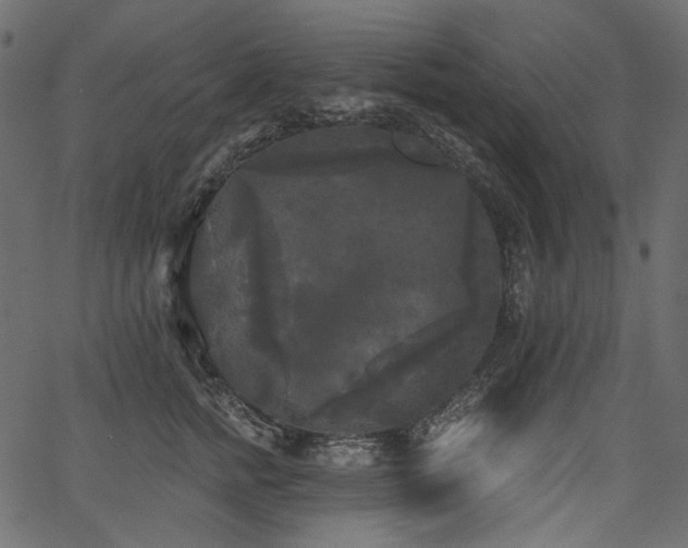 X0000067390758200603311259