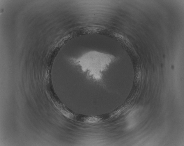 X0000067390759200603311259