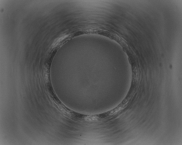 X0000067390762200603311259