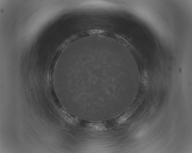 X0000067390763200603311259