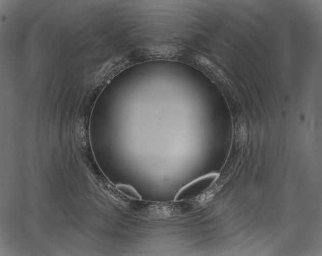 X0000067390764200603311259