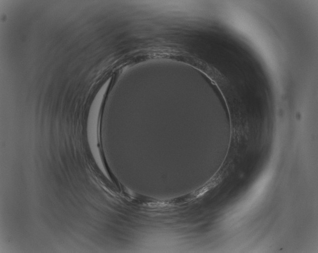 X0000067390766200603311259