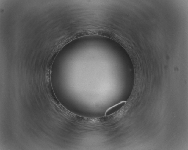 X0000067390768200603311259