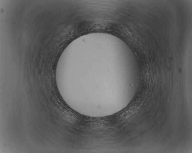 X0000067390769200603311258