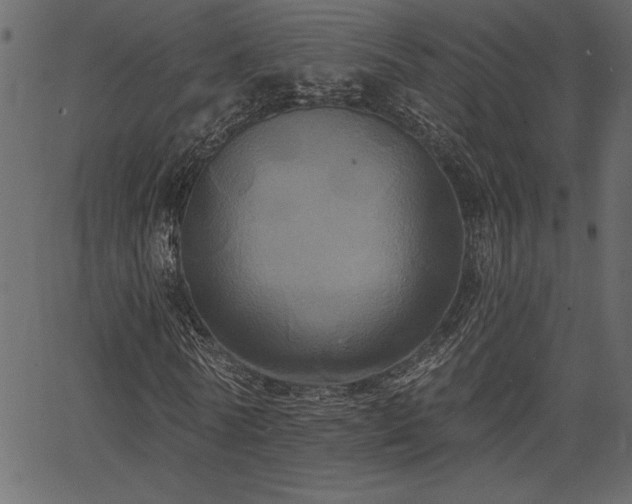 X0000067390770200603311258