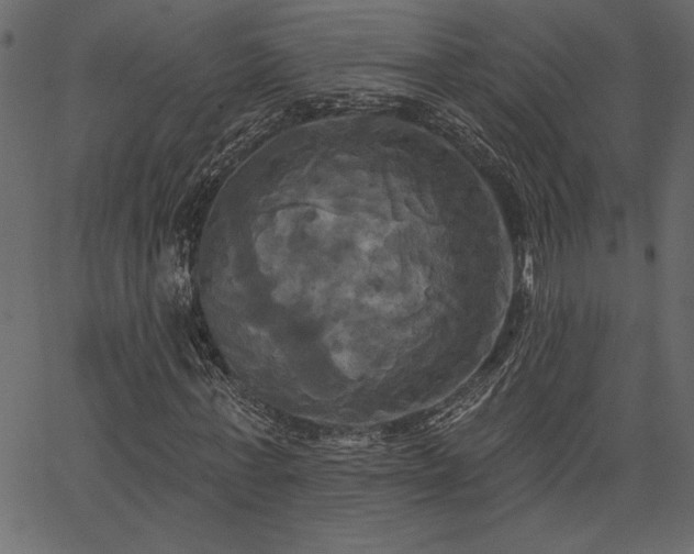 X0000067390771200603311258