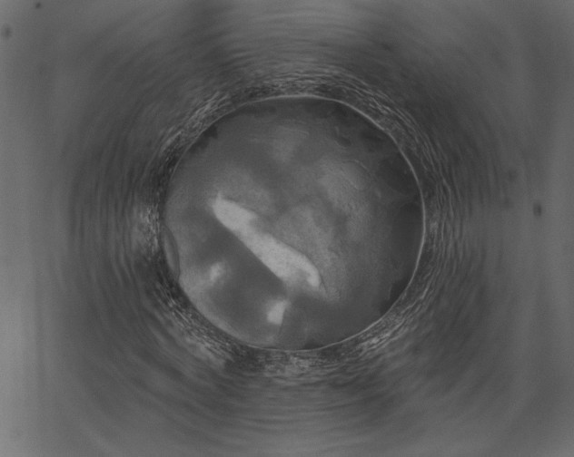 X0000067390772200603311258