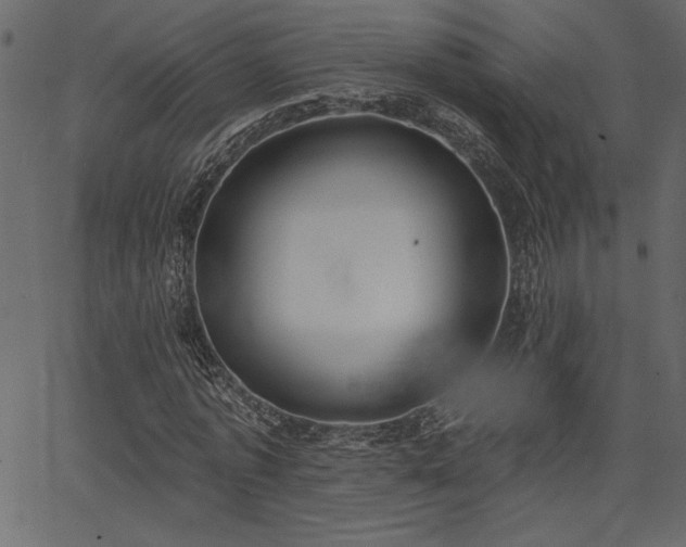 X0000067390773200603311258