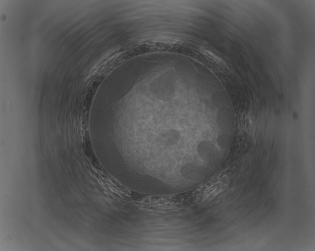 X0000067390774200603311258