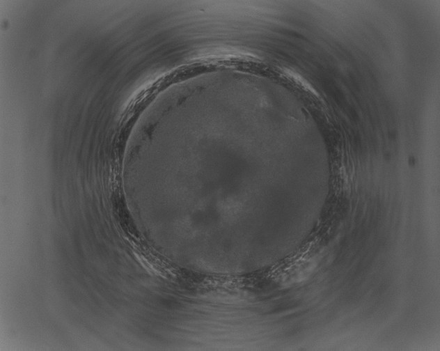 X0000067390775200603311258