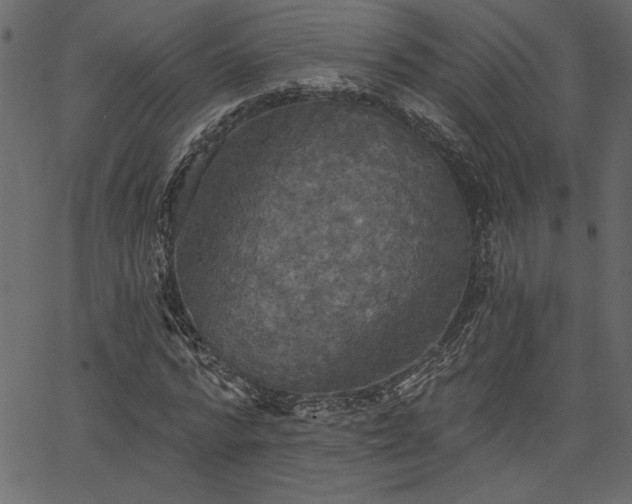 X0000067390776200603311258