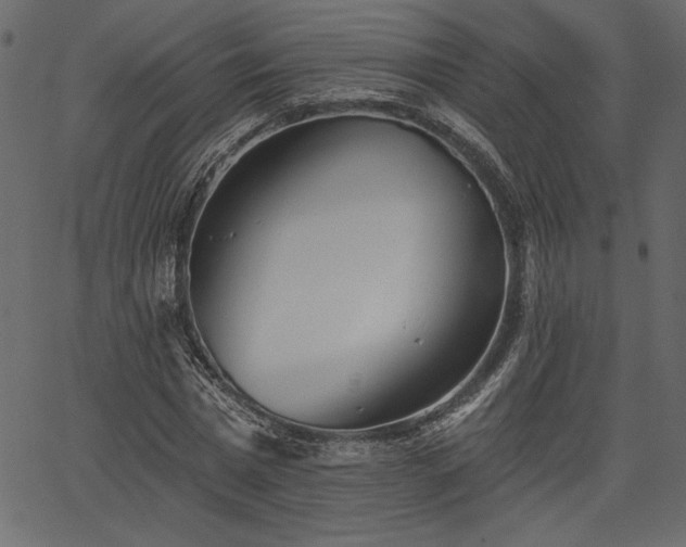 X0000067390777200603311258