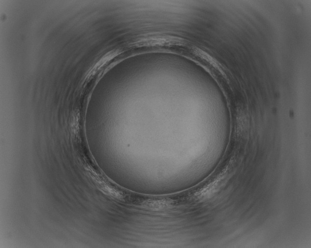 X0000067390778200603311258