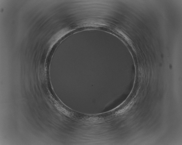 X0000067390779200603311258