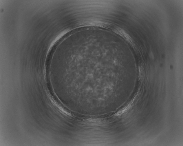 X0000067390780200603311258