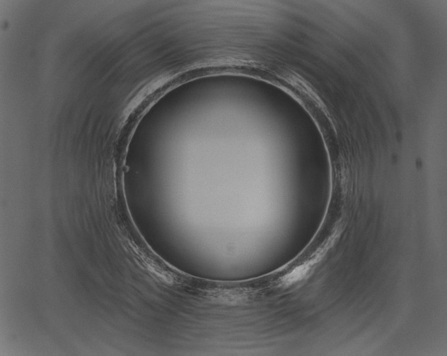 X0000067390781200603311258