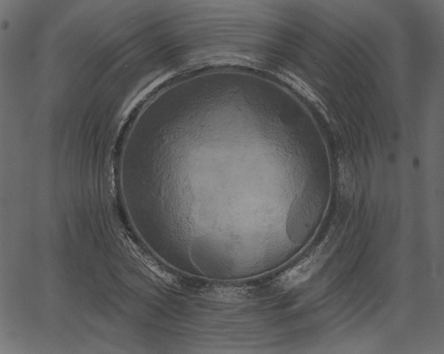 X0000067390782200603311258