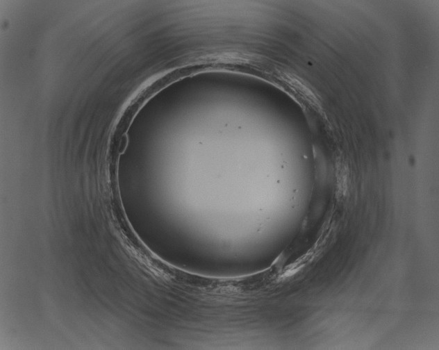 X0000067390784200603311258