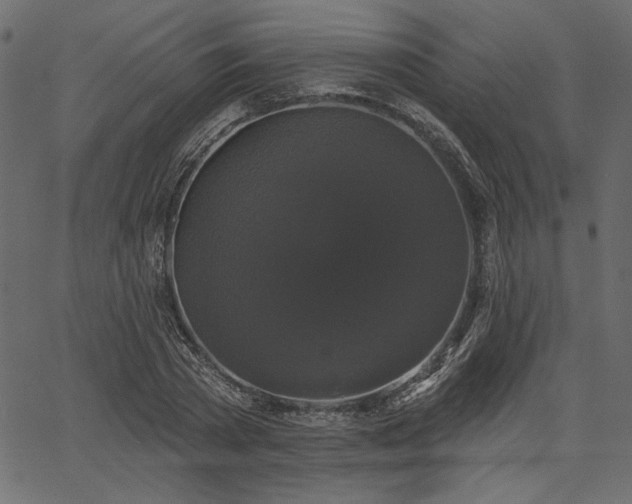 X0000067390785200603311258