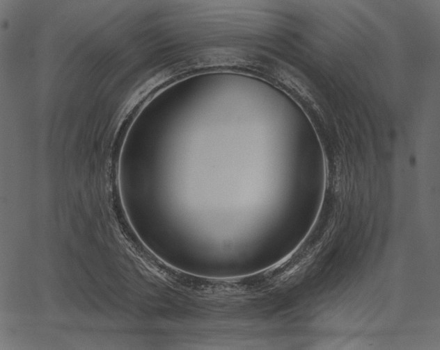 X0000067390786200603311258