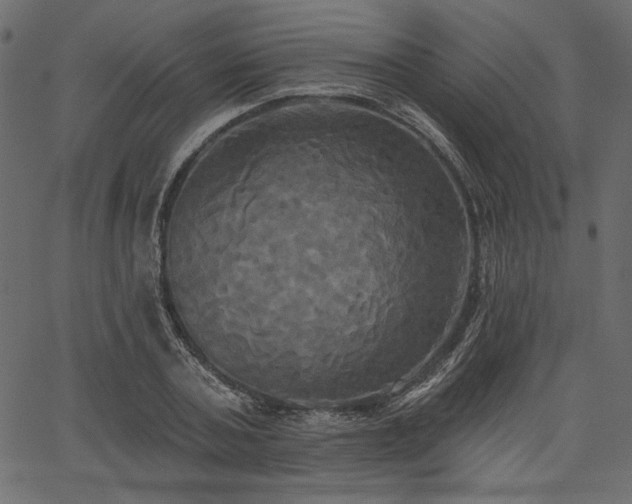 X0000067390787200603311258