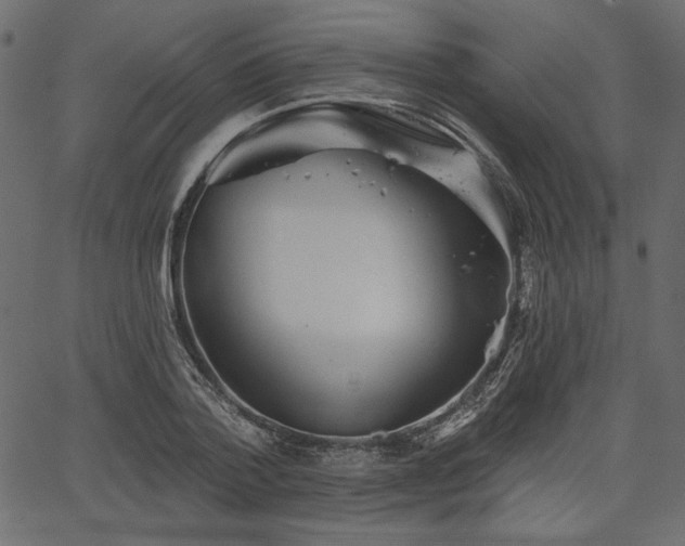 X0000067390788200603311258