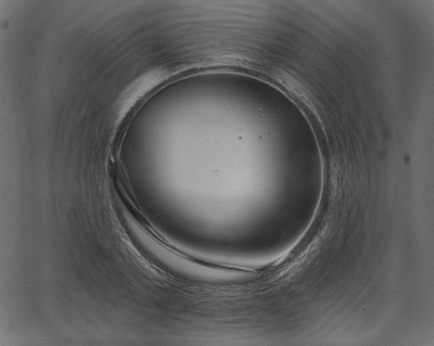 X0000067390789200603311258