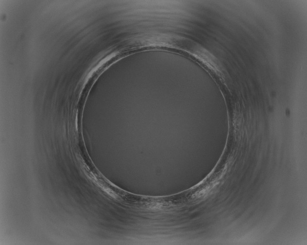 X0000067390790200603311258