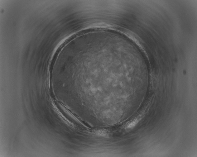 X0000067390791200603311258