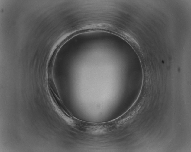 X0000067390792200603311257