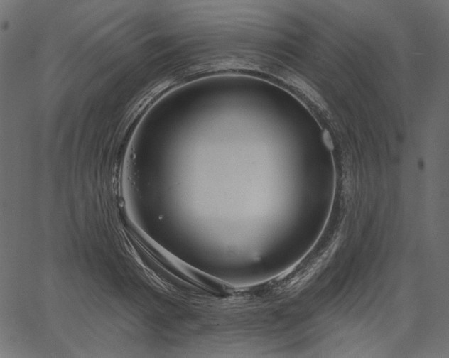 X0000067390793200603311257