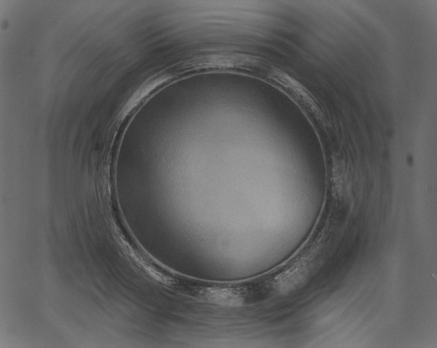 X0000067390794200603311257