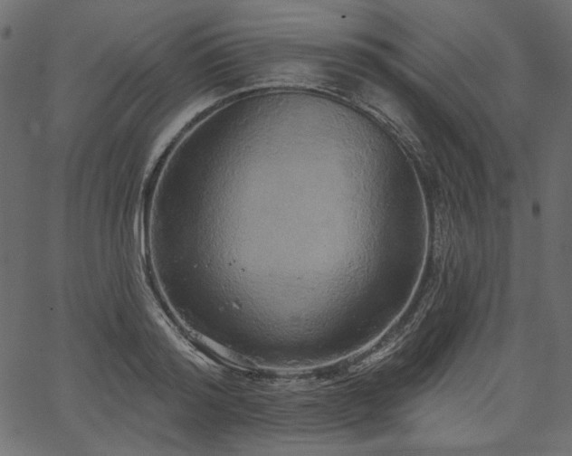 X0000067390796200603311257