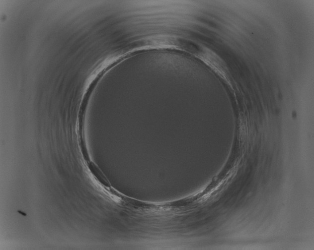 X0000067390797200603311257