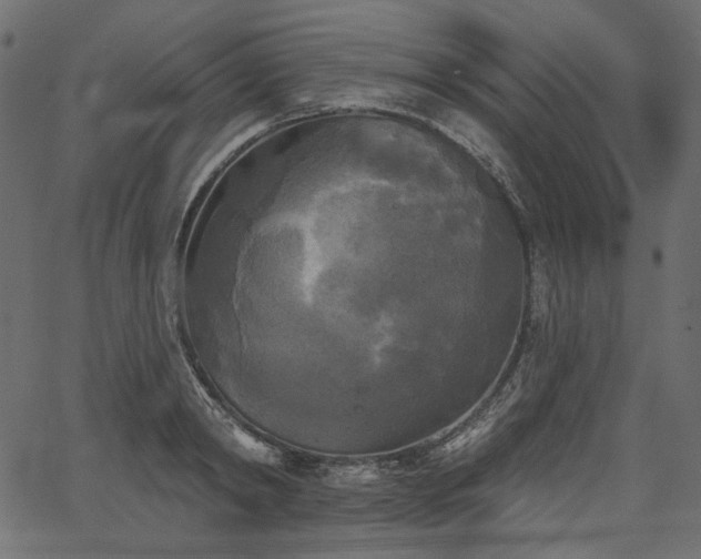 X0000067390798200603311257