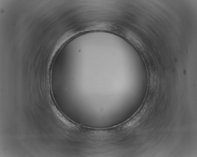 X0000067390800200603311257