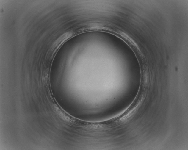 X0000067390801200603311257