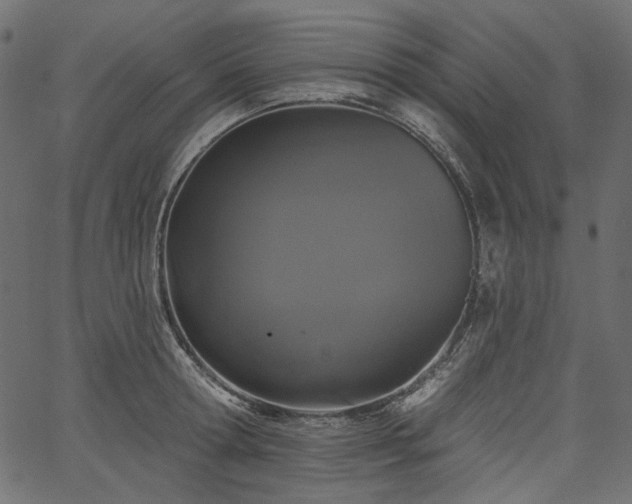 X0000067390802200603311257