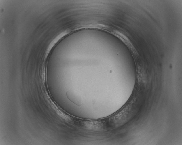 X0000067390804200603311257