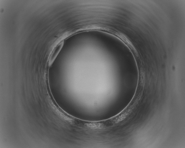 X0000067390805200603311257