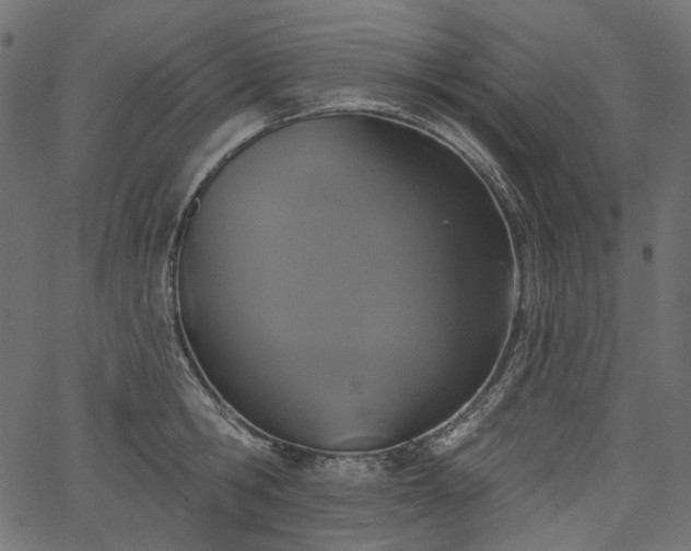 X0000067390806200603311257