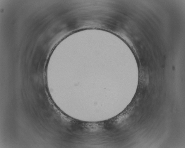 X0000067390807200603311257