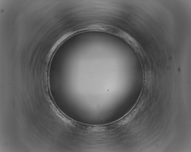 X0000067390808200603311257