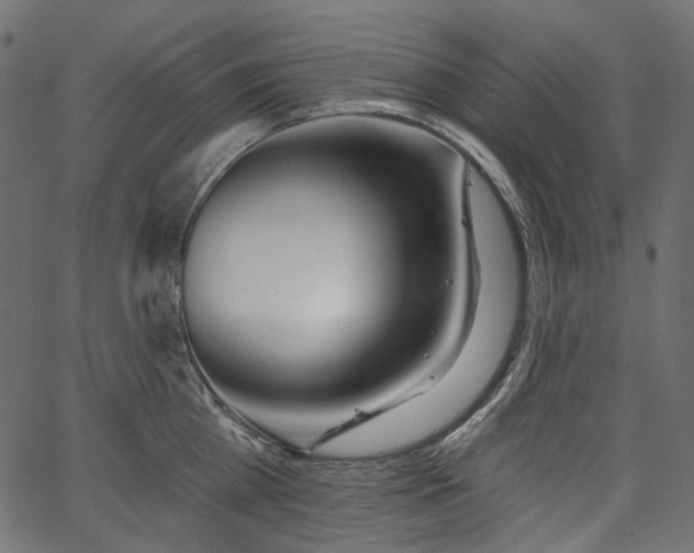 X0000067390809200603311257