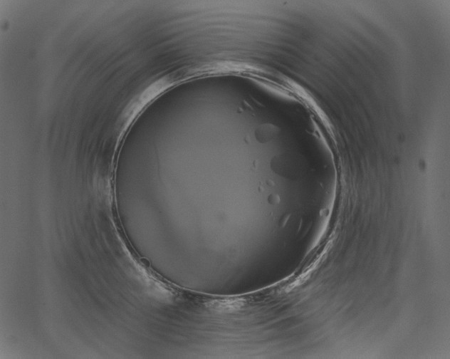 X0000067390810200603311257