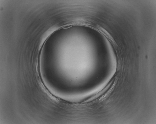 X0000067390812200603311257