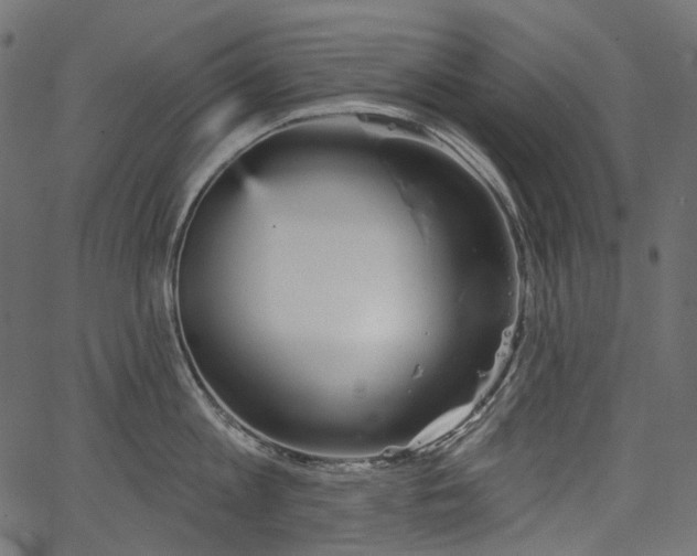 X0000067390813200603311257