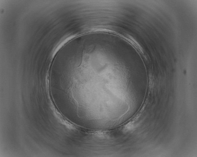 X0000067390814200603311257